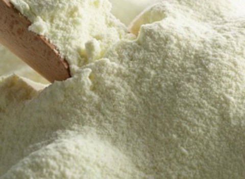 تصویر 1 از خرید و قیمت استارتر دوغ گازدار + فروش صادراتی